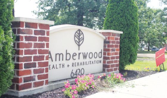AMBERWOOD